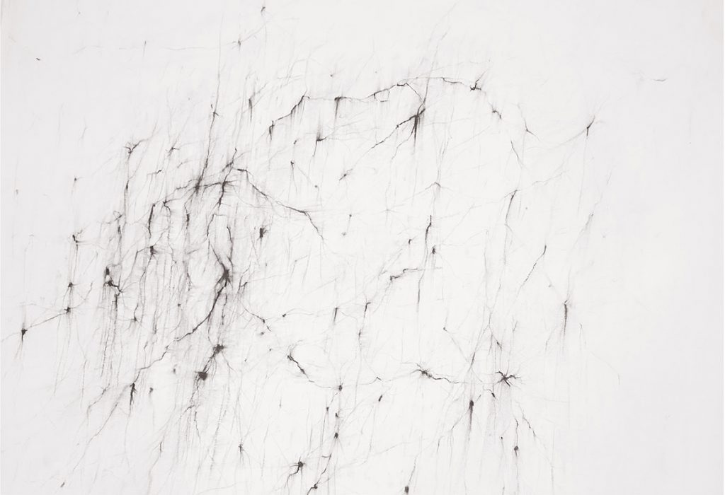 Réseau III, fusain sur papier, 34 x 48 cm, 2017