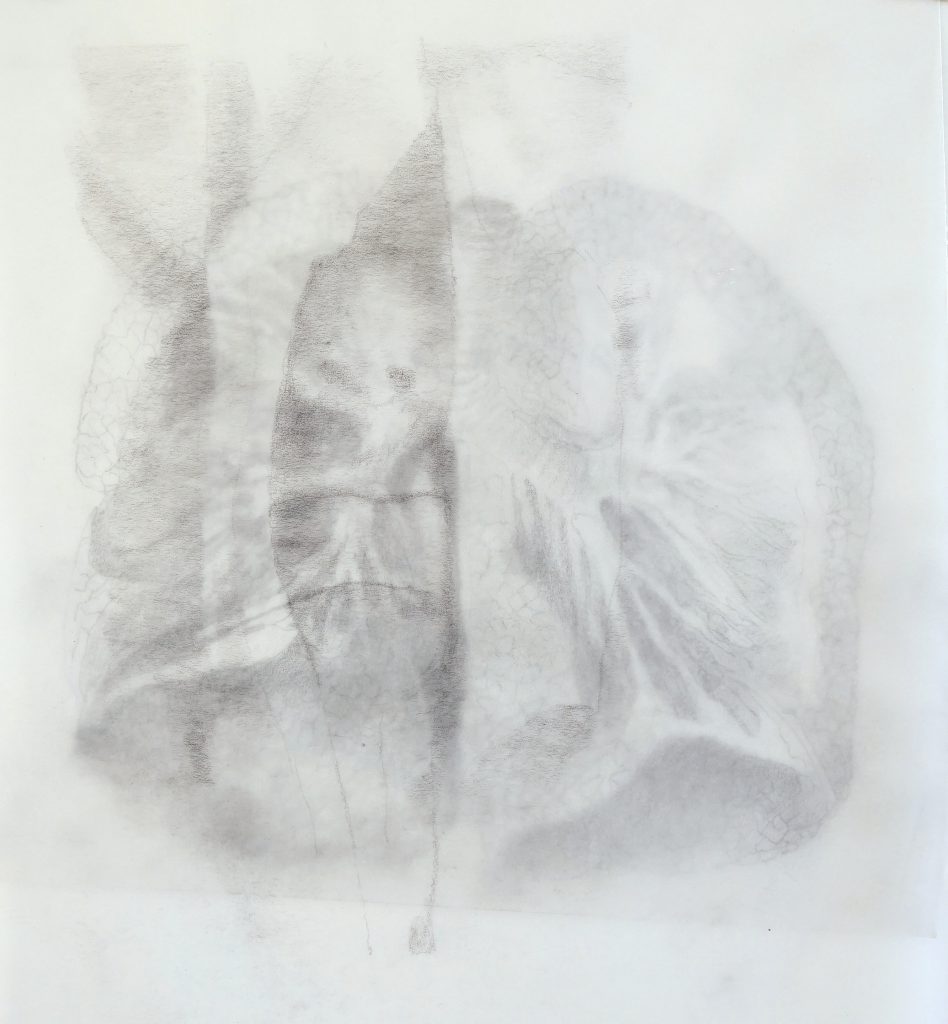 Souffle, dessin sur papier calque, 27 x 22 cm, 2017