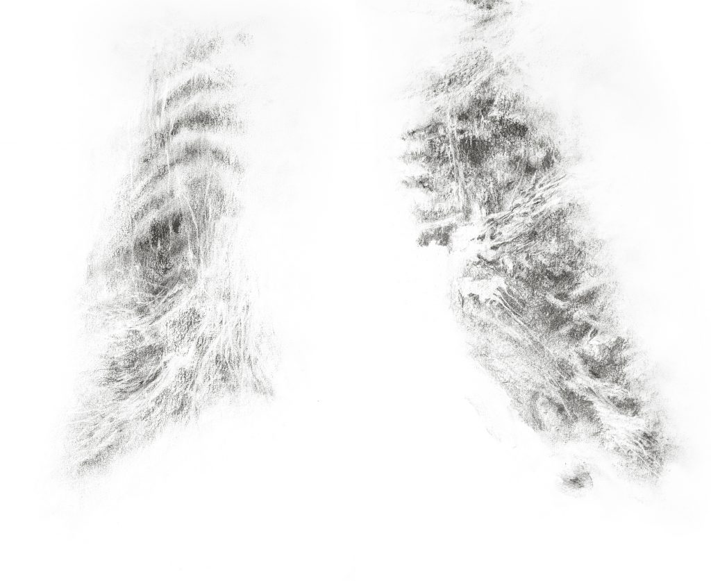 Poumons, fusain sur papier, 50 x 65 cm, 2017