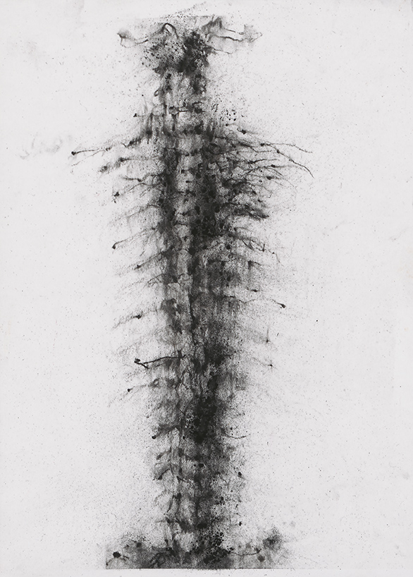 Herbier humain, (série), extrait n°5, fusain sur papier, 30 x 21 cm, 2018