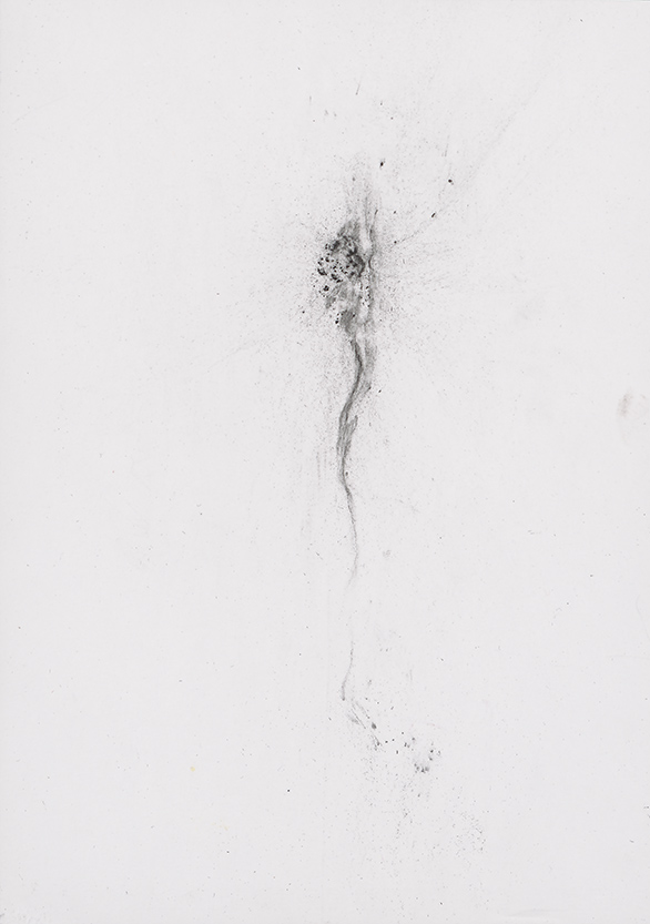 Herbier humain, (série), extrait n°6, fusain sur papier, 30 x 21 cm, 2018