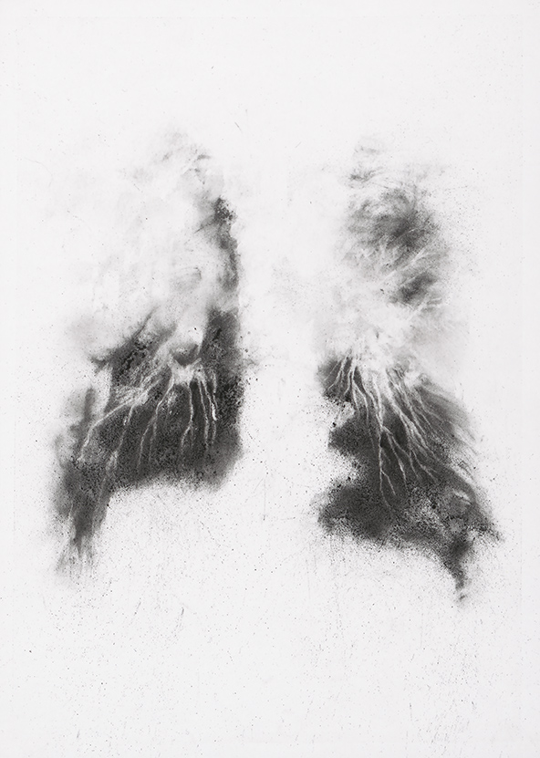 Herbier humain (série), extrait n°7, fusain sur papier, 30 x 21 cm, 2018