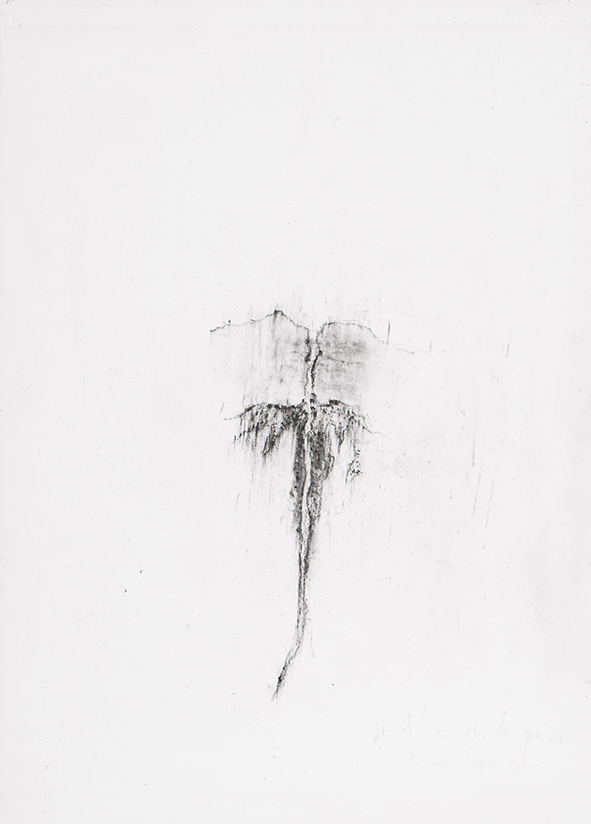Herbier humain (série), extrait n°1, fusain sur papier, 30 x 21 cm, 2018