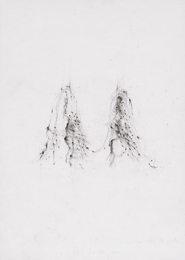 Herbier humain (série), extrait n°3, fusain sur papier, 30 x 21 cm, 2018