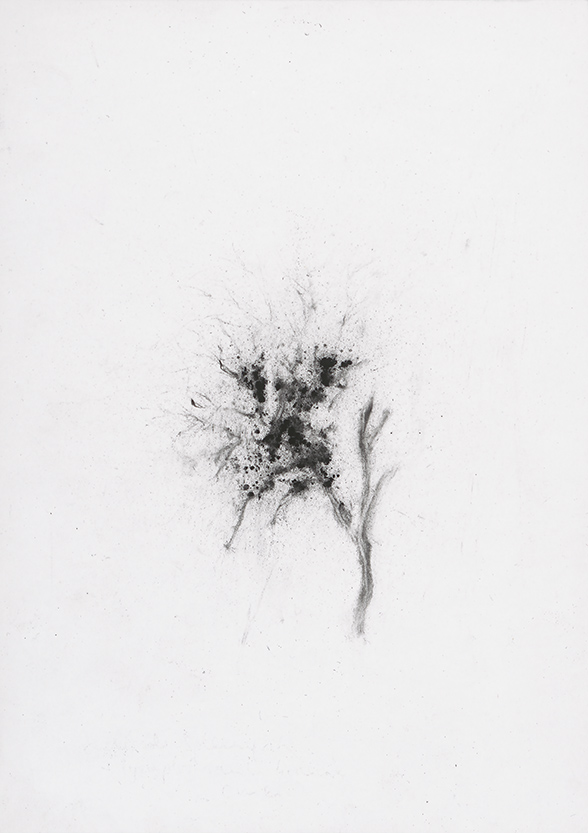 Herbier humain (série), extrait n°4, fusain sur papier, 30 x 21 cm, 2018