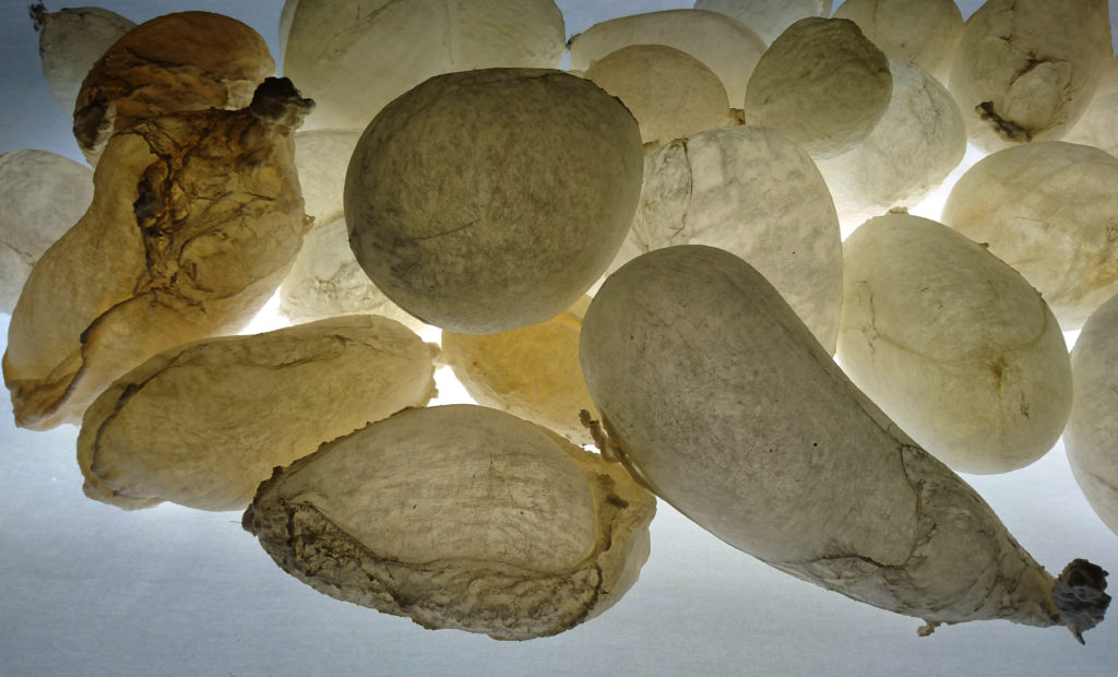 « Hallali », détail, Musée de Morat, balade des lumières 2021 © Joseph Julmy « Hallali », détail, Musée de Morat, balade des lumières 2021 © Joseph Julmy