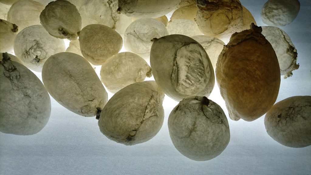 « Hallali », détail, Musée de Morat, balade des lumières 2021 © Joseph Julmy « Hallali », détail, Musée de Morat, balade des lumières 2021 © Joseph Julmy