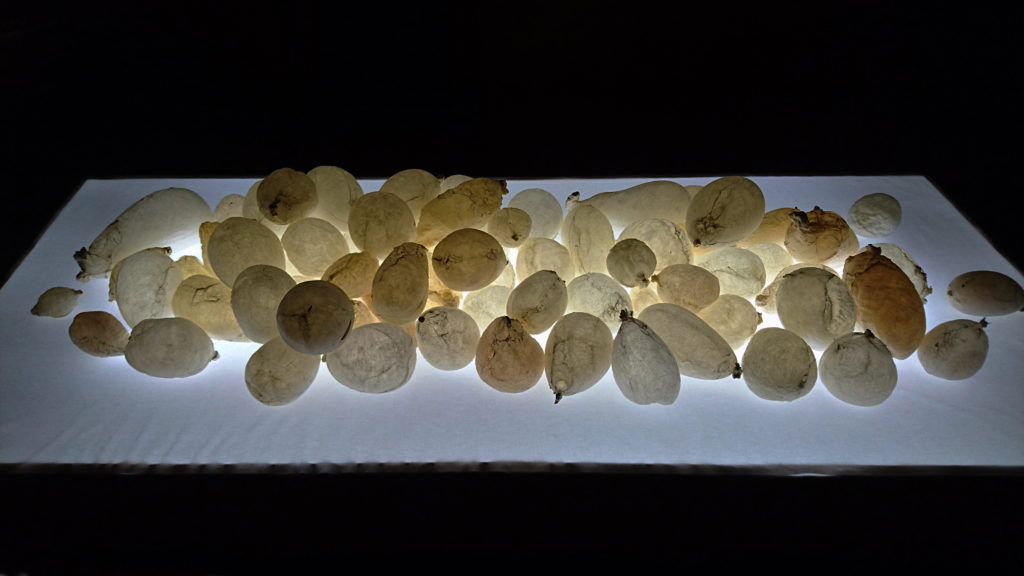 « Hallali », détail, Musée de Morat, balade des lumières 2021 © Joseph Julmy « Hallali », détail, Musée de Morat, balade des lumières 2021 © Joseph Julmy