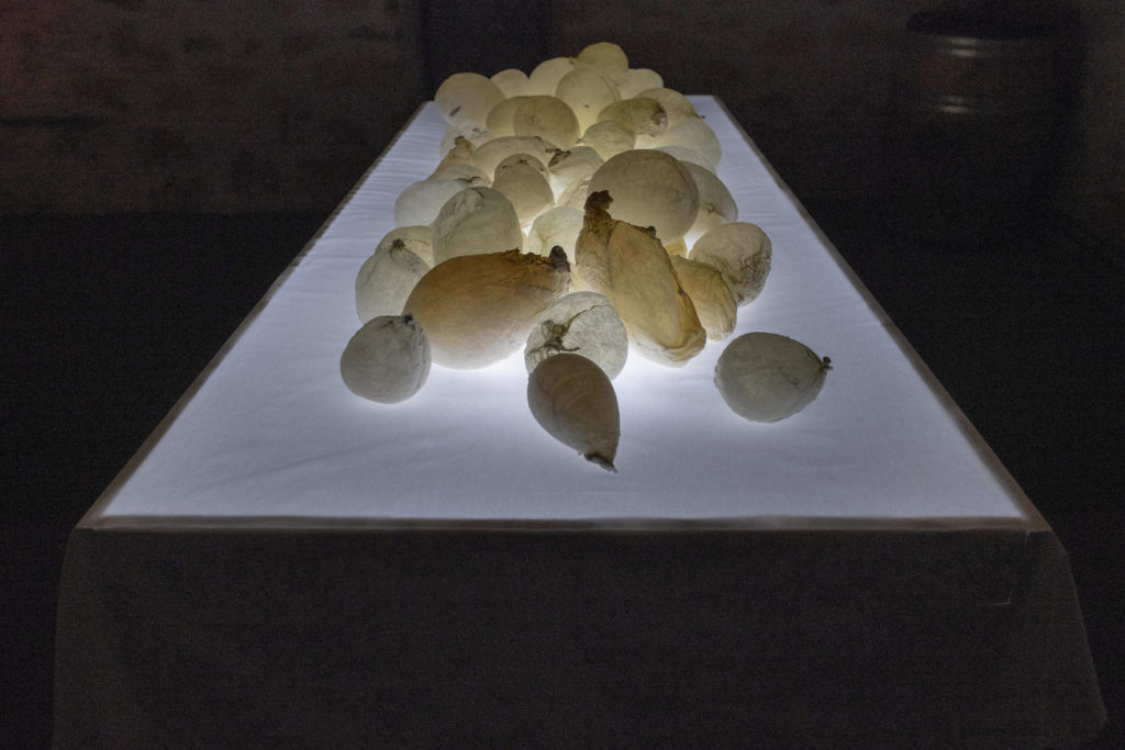 « Hallali », Musée de Morat, balade des lumières 2021 © Jean-Paul Guinnard « Hallali », Musée de Morat, balade des lumières 2021 © Jean-Paul Guinnard