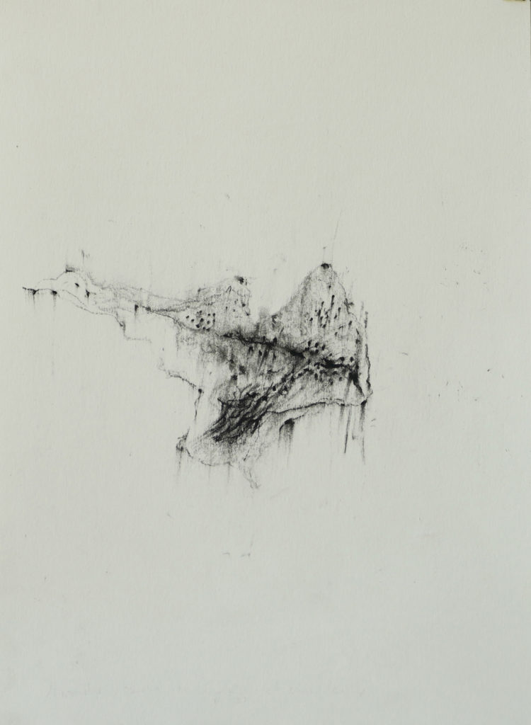 Herbier humain (série), extrait n°20, fusain sur papier, 21 x30 cm Herbier humain (série), extrait n°20, fusain sur papier, 21 x30 cm