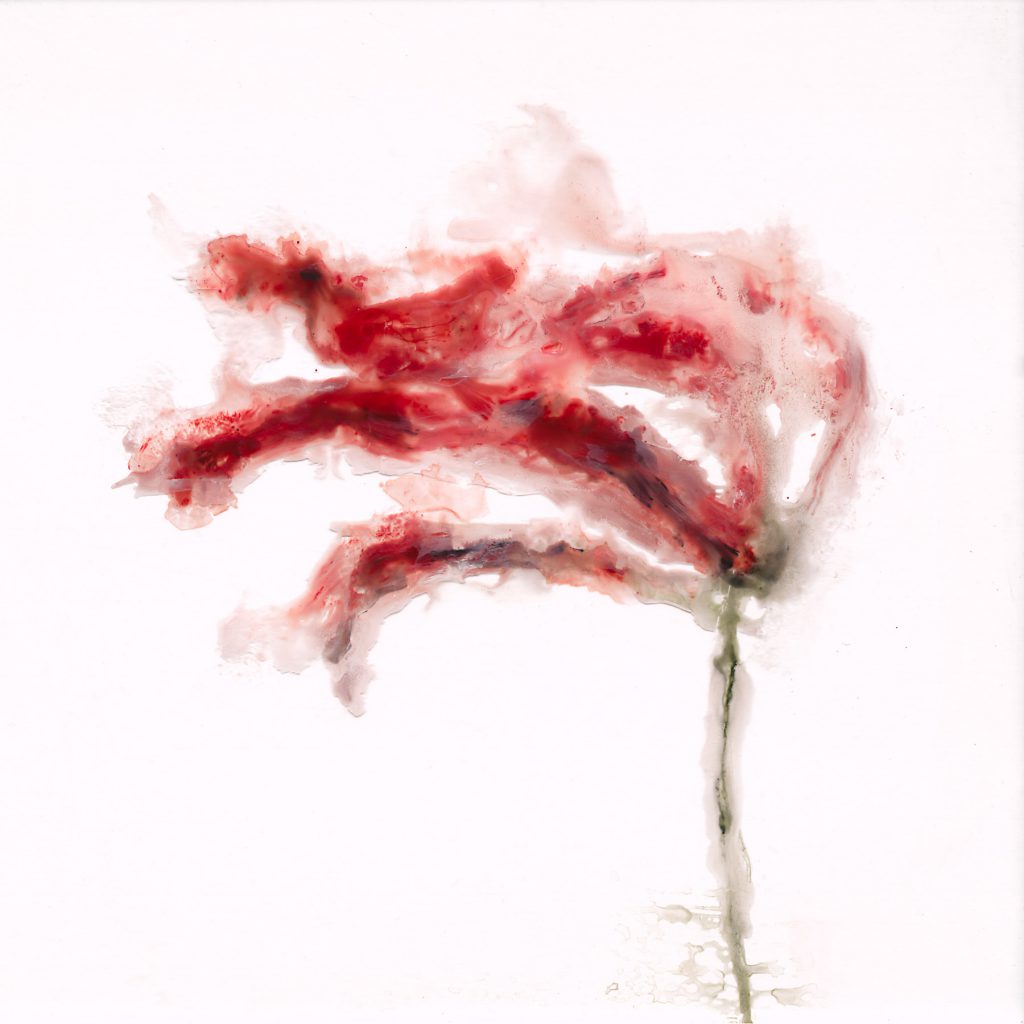 Sans titre, acrylique sous plexi, 51×51 cm, 2014 Sans titre, acrylique sous plexi, 51×51 cm, 2014
