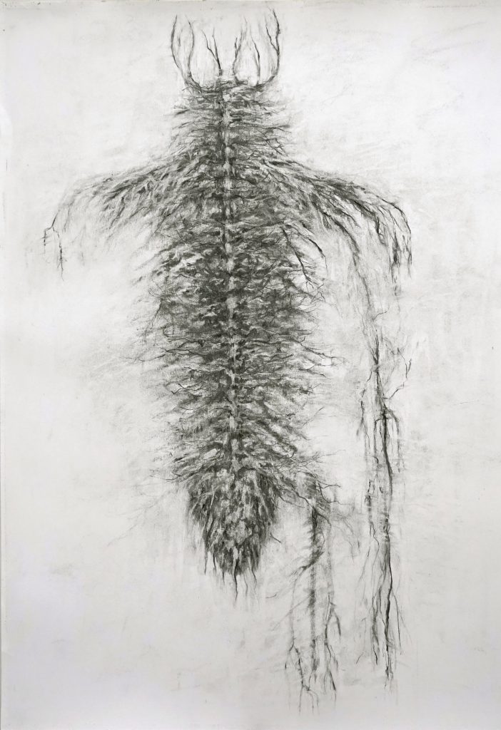 Gregor (série Land of plenty), fusain sur papier, 65 x 50 cm, 2017 Gregor (série Land of plenty), fusain sur papier, 65 x 50 cm, 2017