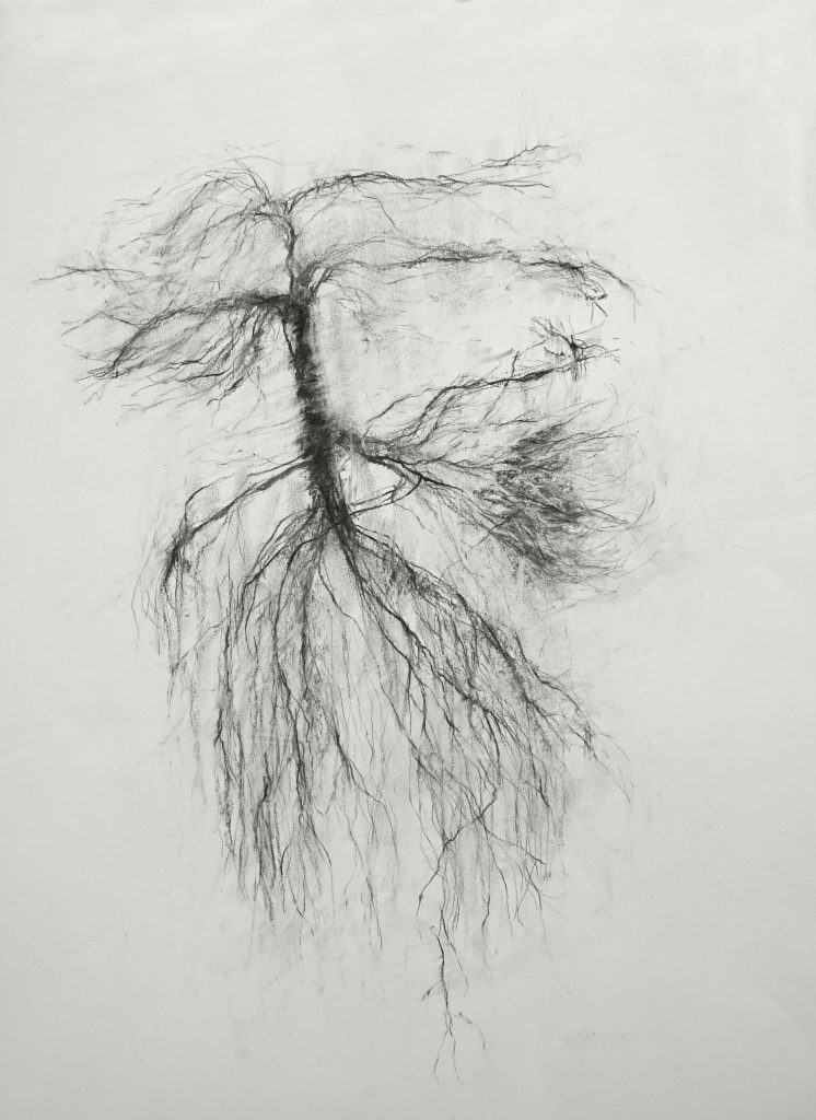 Que restera-t-il de moi quand même les vivants m’auront oubliée 1 (série Land of plenty), fusain sur papier, 65 x 50 cm, 2017 Que restera-t-il de moi quand même les vivants m’auront oubliée 1 (série Land of plenty), fusain sur papier, 65 x 50 cm, 2017