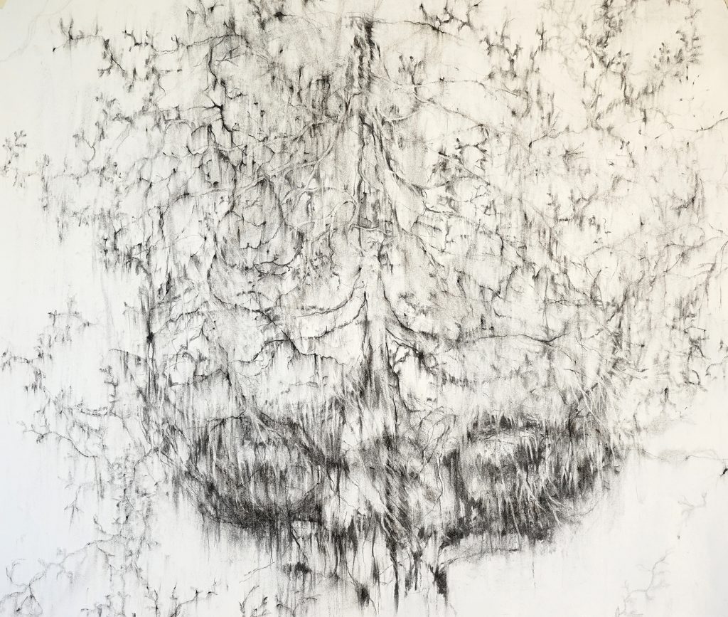 Oubli, fusain sur papier, 50 x 65 cm, 2017 Oubli, fusain sur papier, 50 x 65 cm, 2017