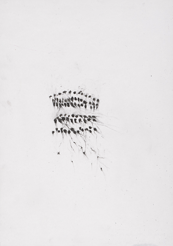 Herbier humain (série), extrait n°8, fusain sur papier, 30 x 21 cm, 2018
