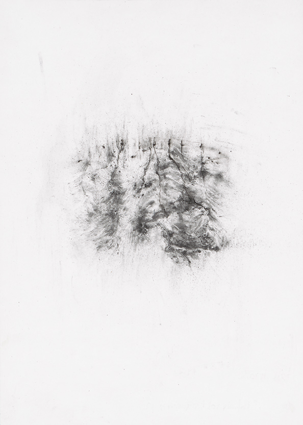 Herbier humain (série), extrait n°2, fusain sur papier, 30 x 21 cm, 2018