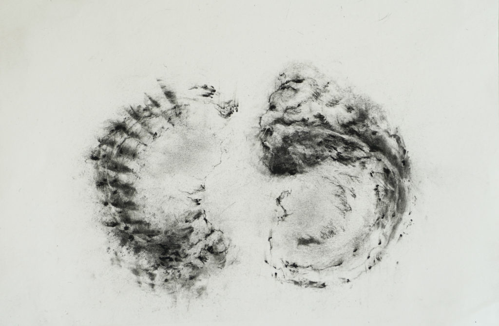 Double, fusain sur papier, 21 x 30 cm Double, fusain sur papier, 21 x 30 cm