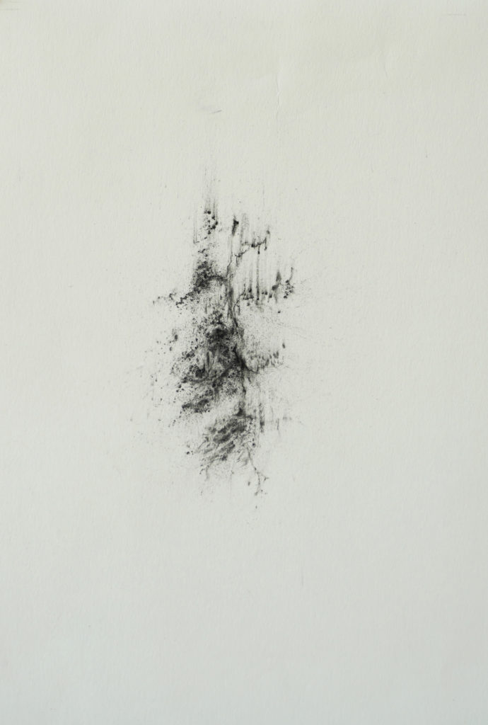 Herbier humain (série), extrait n°9, fusain sur papier, 21 x 30 cm Herbier humain (série), extrait n°9, fusain sur papier, 21 x 30 cm