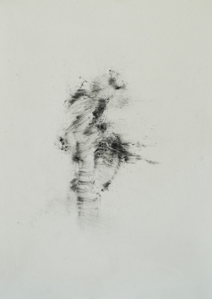 Herbier humain (série), extrait n°13, fusain sur papier, 21 x 30 cm Herbier humain (série), extrait n°13, fusain sur papier, 21 x 30 cm