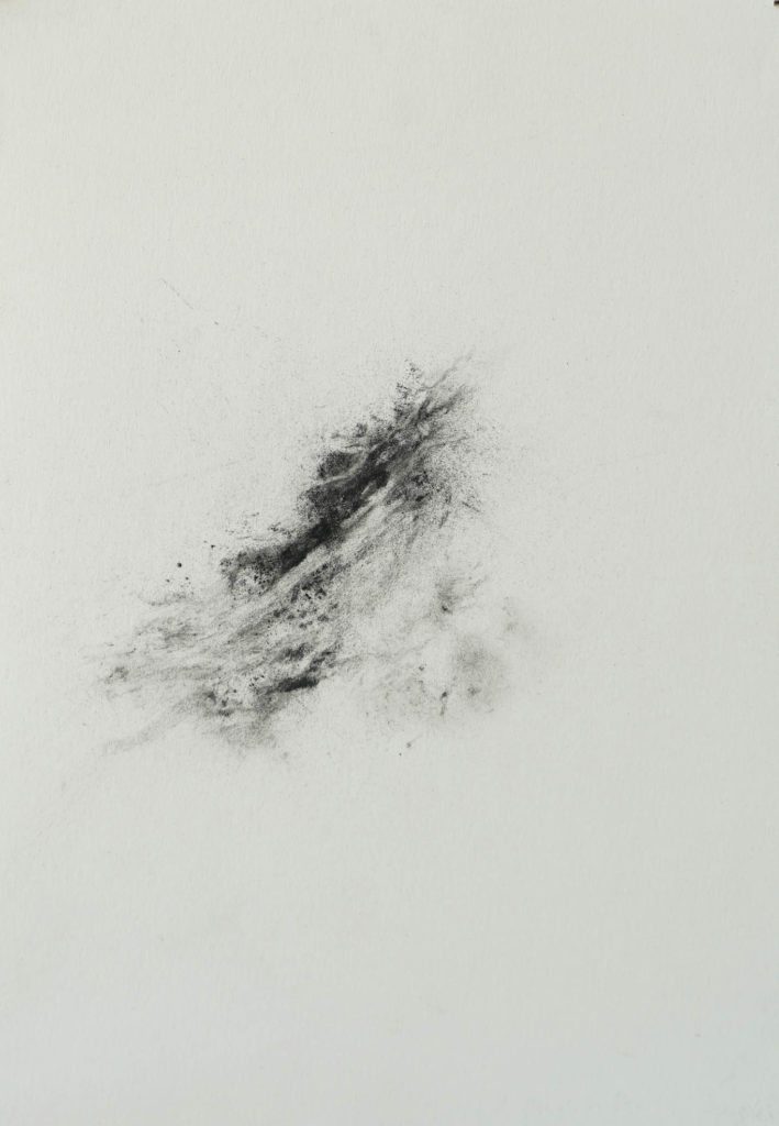Herbier humain (série), extrait n°18, fusain sur papier, 30 x 21 cm Herbier humain (série), extrait n°18, fusain sur papier, 30 x 21 cm