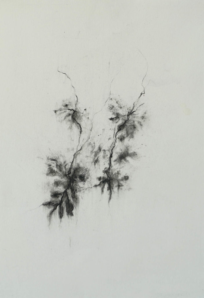 Herbier humain (série), extrait n°19, fusain sur papier, 21 x30 cm Herbier humain (série), extrait n°19, fusain sur papier, 21 x30 cm