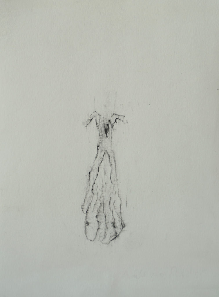 Herbier humain (série), extrait n°15, fusain sur papier, 21 x 30 cm Herbier humain (série), extrait n°15, fusain sur papier, 21 x 30 cm